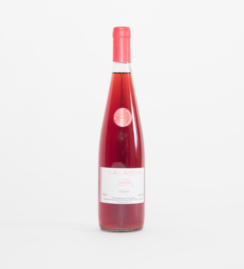 Vino Vayalom